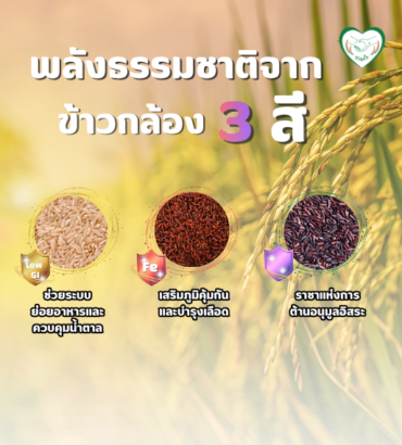 พลังธรรมชาติจากข้าวกล้อง 3 สี