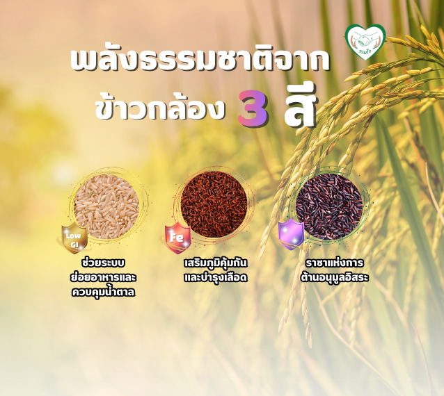 พลังธรรมชาติจาก “ข้าวกล้อง 3 สี”