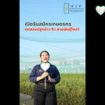 เปิดรับสมัครเกษตรกร ร่วมทดลองปลูกข้าว RJ สายพันธุ์ใหม่!