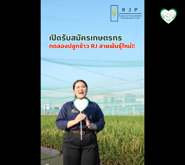 เปิดรับสมัครเกษตรกร ร่วมทดลองปลูกข้าว RJ สายพันธุ์ใหม่!