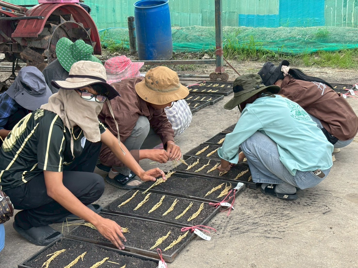 นักศึกษาฝึกงานมหาวิทยาลัยอุบลราชธานี นำเสนอผลการฝึกปฏิบัติงาน ณ สถานีวิจัยรวมใจพัฒนาความรู้