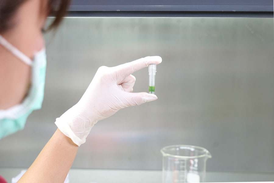 ‘สถานีวิจัยรวมใจพัฒนาความรู้’ เปิดห้องปฏิบัติการ DNA มูลค่ากว่า 3 ล้าน ยกระดับนวัตกรรมการปรับปรุงพันธุ์ข้าวแม่นยำสูง