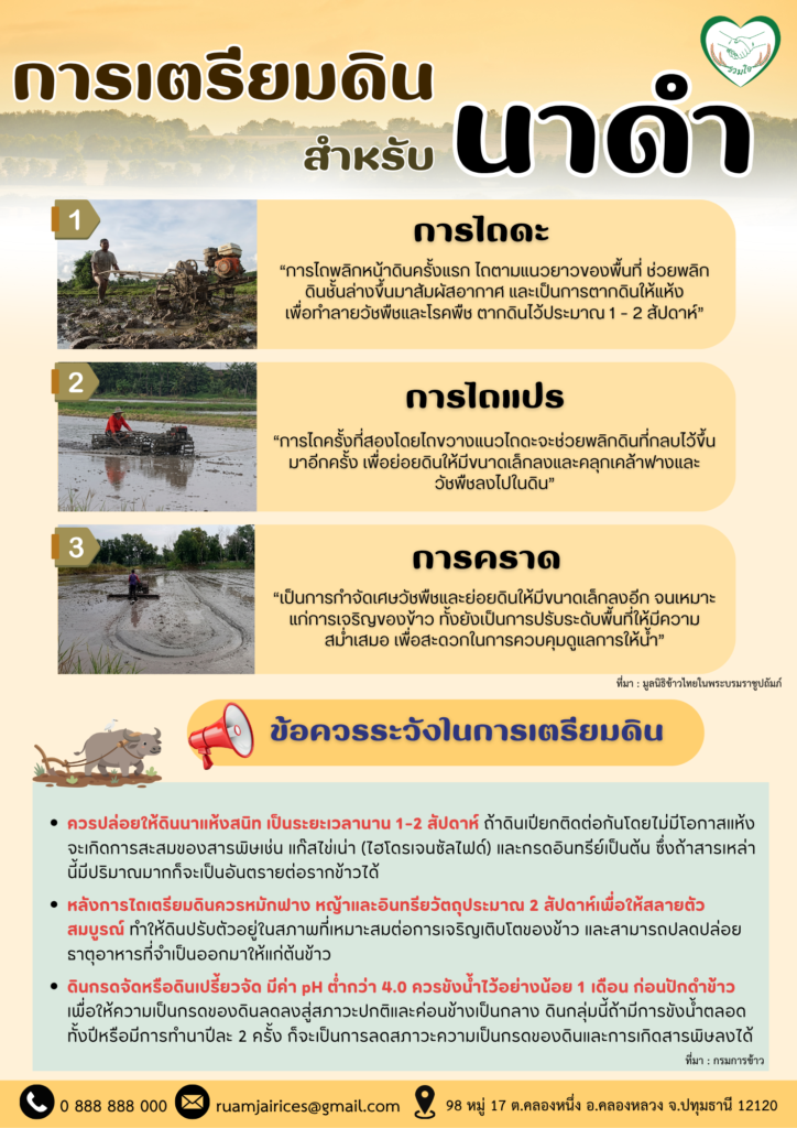 การเตรียมดินสำหรับนาดำ