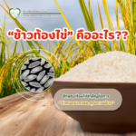 “ข้าวท้องไข่” คืออะไร?