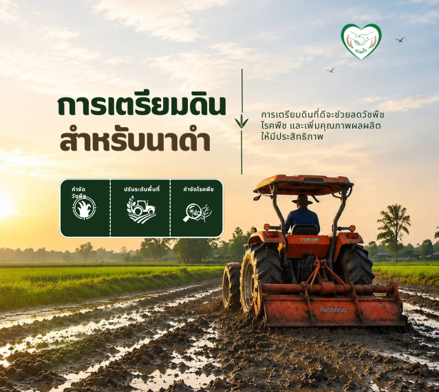 ขั้นตอนการเตรียมดินสำหรับนาดำ