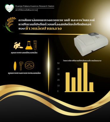 การศึกษาลักษณะทางกายภาพ เคมี และการวิเคราะห์หาปริมาณโปรตีนด้วยเครื่องสเปคโตรโฟโตมิเตอร์ ของข้าวเมล็ดปานกลาง
