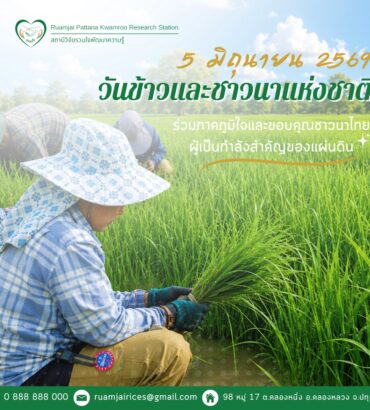 วันข้าวและชาวนาแห่งชาติ: ร่วมรำลึกคุณค่าของข้าวไทยและชาวนาไทย