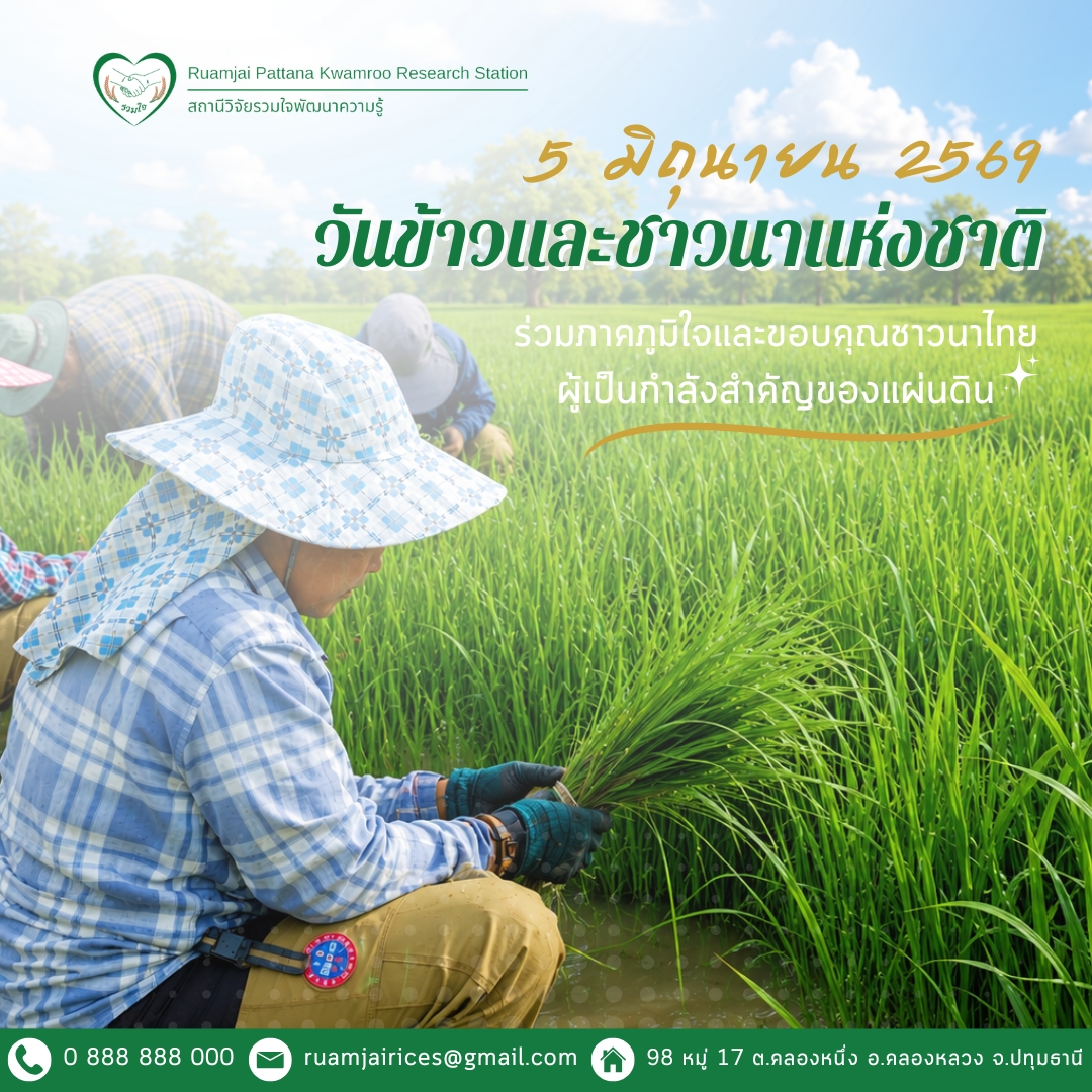 วันข้าวและชาวนาแห่งชาติ: ร่วมรำลึกคุณค่าของข้าวไทยและชาวนาไทย