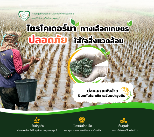 เชื้อราไตรโคเดอร์มา ทางเลือกเกษตรปลอดภัย ใส่ใจสิ่งแวดล้อม