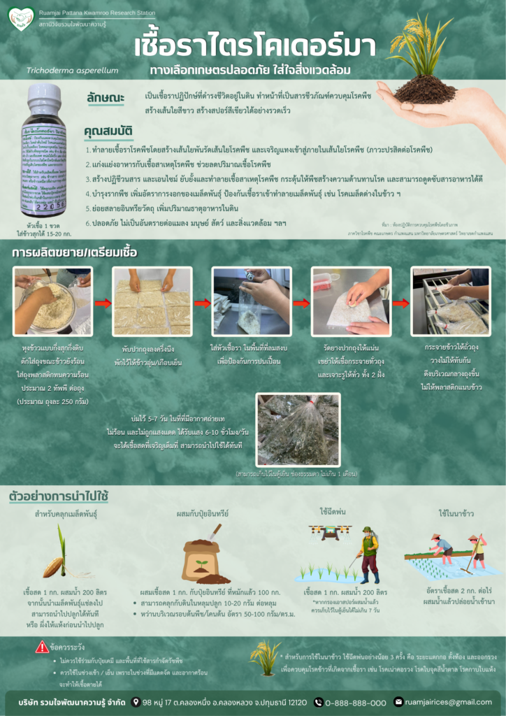 เชื้อราไตรโคเดอร์มา ทางเลือกเกษตรปลอดภัย ใส่ใจสิ่งแวดล้อม