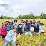 นักวิจัยร่วมกันเก็บเกี่ยวผลผลิต ณ แปลงทดสอบผลผลิตในนาเกษตรกร จ.สุพรรณบุรี