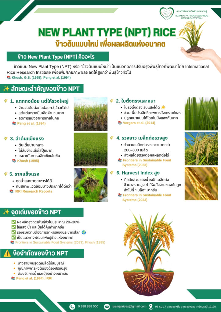 ข้าว New Plant Type (NPT)