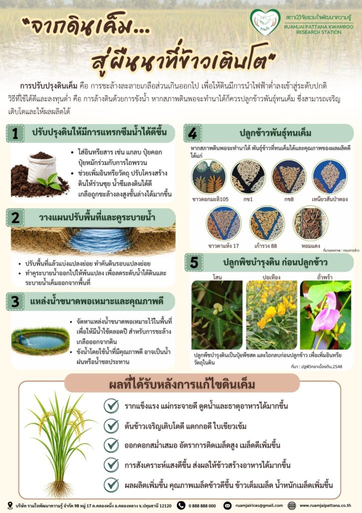 การแก้ไขดินเค็ม