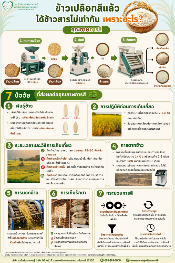 ข้าวเปลือกสีแล้วได้ข้าวสารไม่เท่ากัน เพราะอะไร