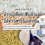 ข้าวเปลือกสีแล้วได้ข้าวสารไม่เท่ากัน เพราะอะไร