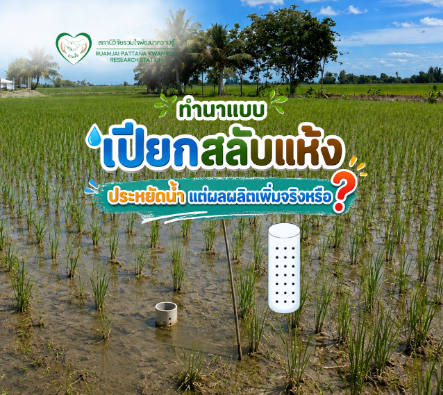 นาเปียกสลับแห้ง