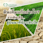 วิธีแก้ดินเค็ม