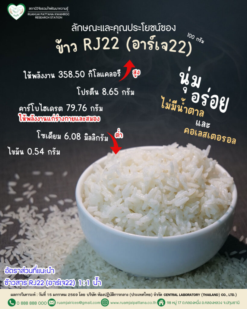 ลักษณะข้าวสุก-RJ22