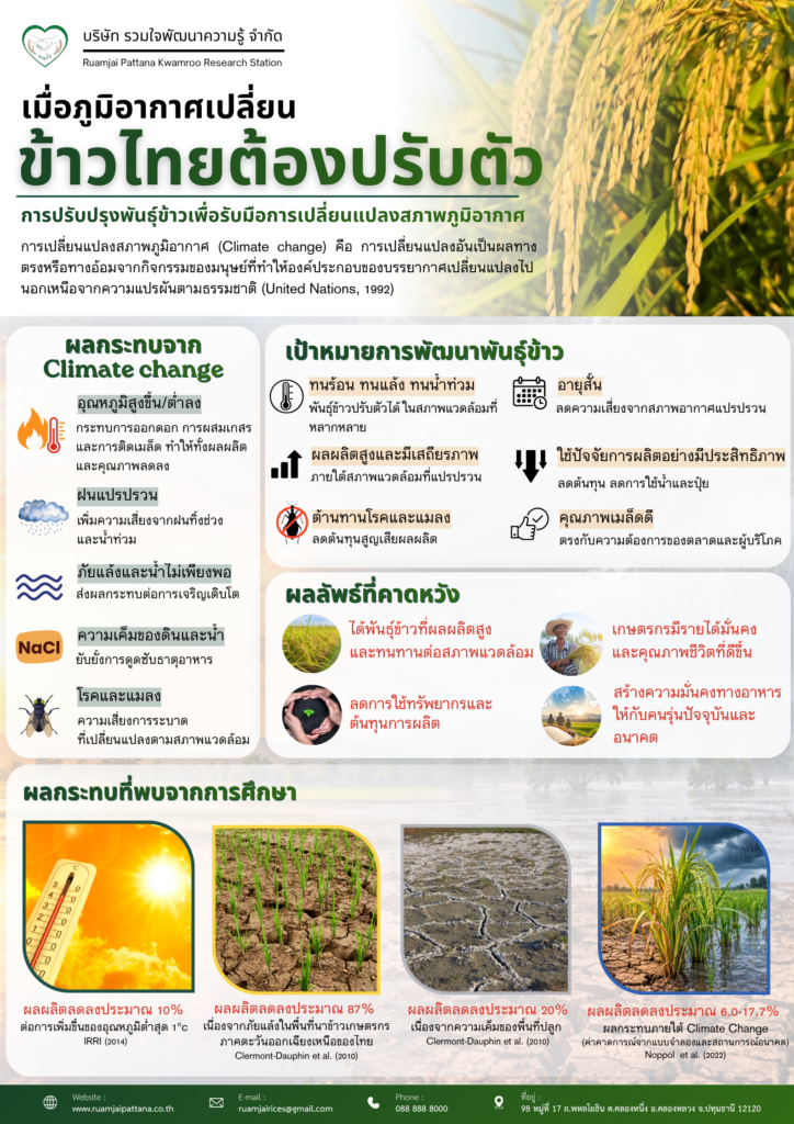 ผลกระทบของ Climate Change ต่อผลผลิตข้าว