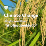 เมื่อภูมิกาศเปลี่ยน ข้าวไทยต้องปรับตัว